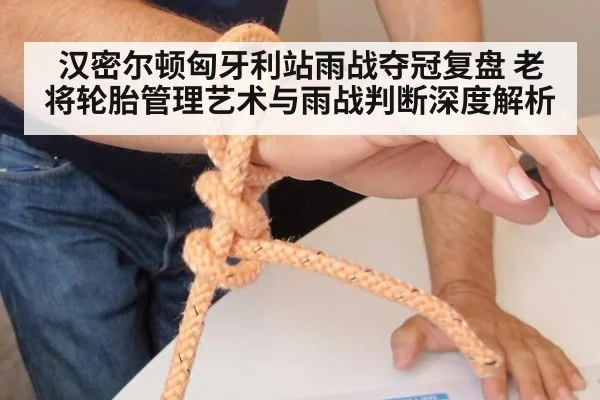 汉密尔顿匈牙利站雨战夺冠复盘 老将轮胎管理艺术与雨战判断深度解析
